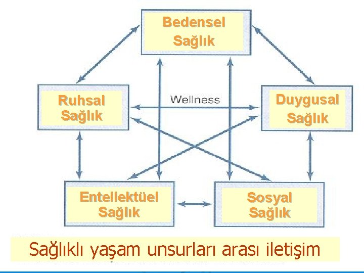 Bedensel Sağlık Ruhsal Sağlık Entellektüel Sağlık Duygusal Sağlık Sosyal Sağlıklı yaşam unsurları arası iletişim