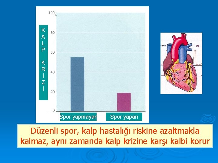 K A L P K R İ Z İ Spor yapmayan Spor yapan Düzenli