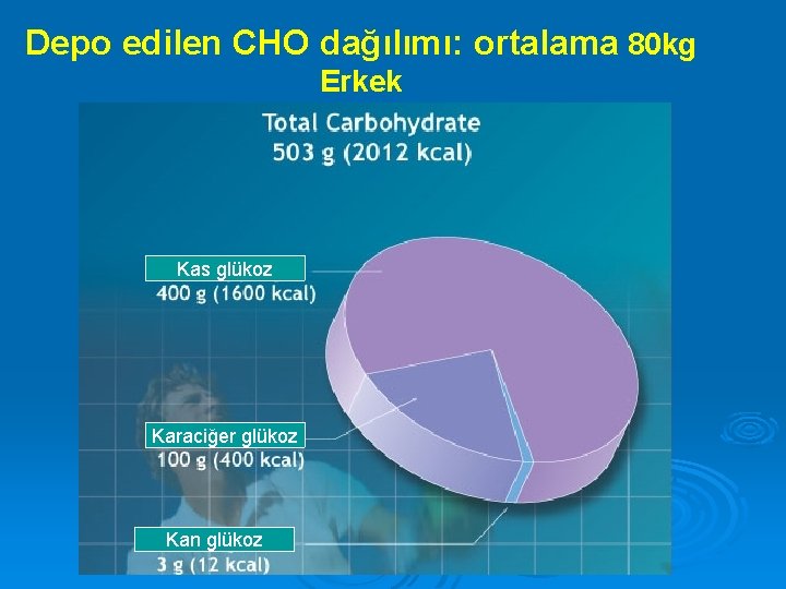 Depo edilen CHO dağılımı: ortalama 80 kg Erkek Kas glükoz Karaciğer glükoz Kan glükoz