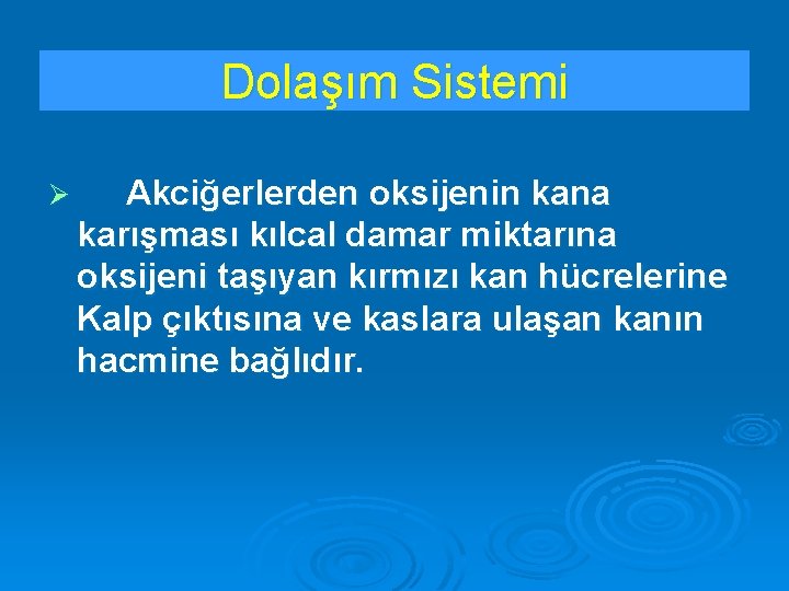 Dolaşım Sistemi Ø Akciğerlerden oksijenin kana karışması kılcal damar miktarına oksijeni taşıyan kırmızı kan