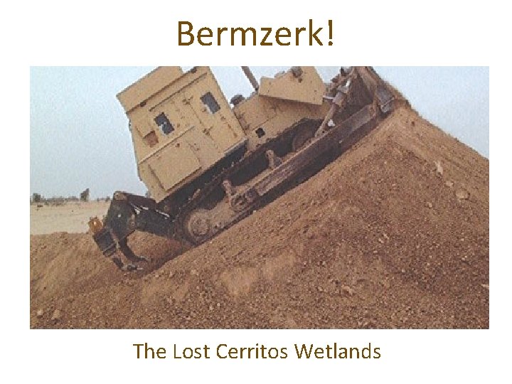 Bermzerk! The Lost Cerritos Wetlands 