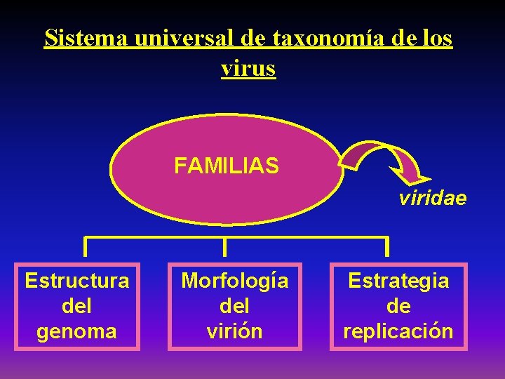 Sistema universal de taxonomía de los virus FAMILIAS viridae Estructura del genoma Morfología del