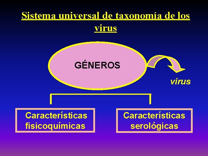 Sistema universal de taxonomía de los virus GÉNEROS virus Características fisicoquímicas Características serológicas 