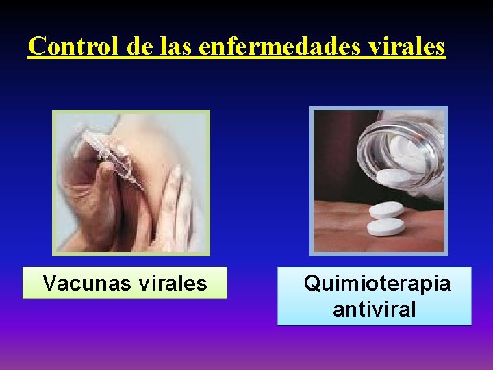 Control de las enfermedades virales Vacunas virales Quimioterapia antiviral 