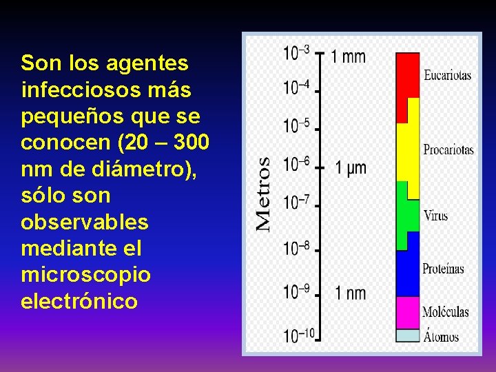 Son los agentes infecciosos más pequeños que se conocen (20 – 300 nm de