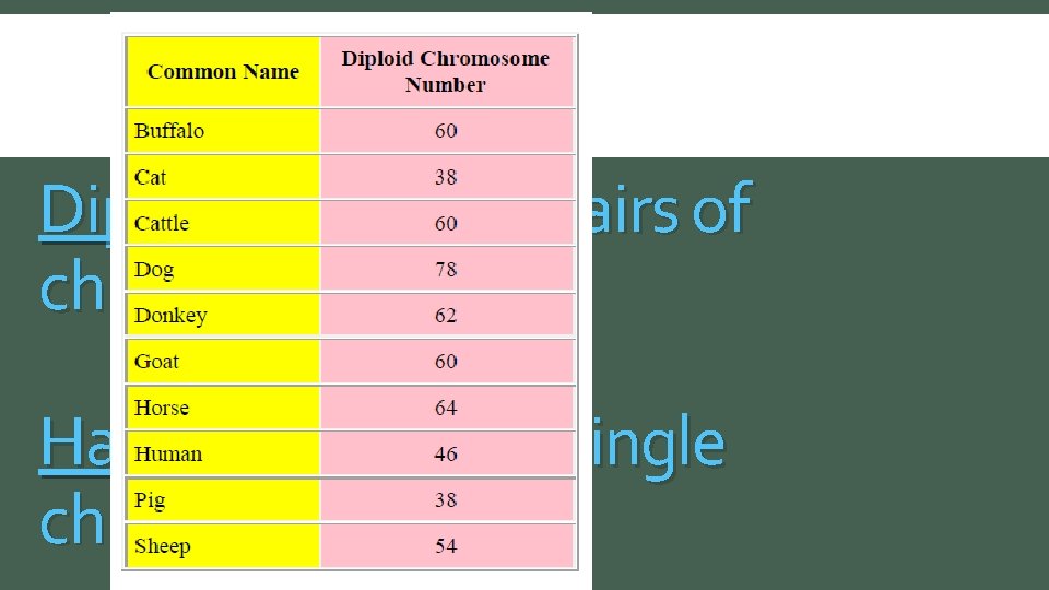 Diploid: cells with pairs of chromosomes (46) Haploid: cells with single chromosomes (23) 