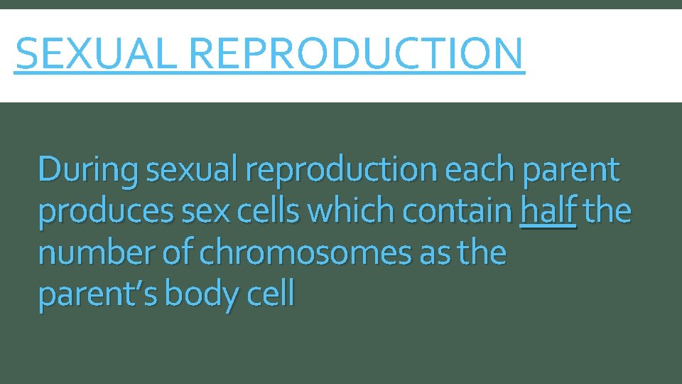 SEXUAL REPRODUCTION During sexual reproduction each parent produces sex cells which contain half the
