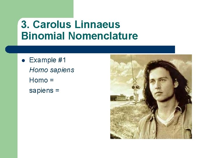 3. Carolus Linnaeus Binomial Nomenclature l Example #1 Homo sapiens Homo = sapiens =
