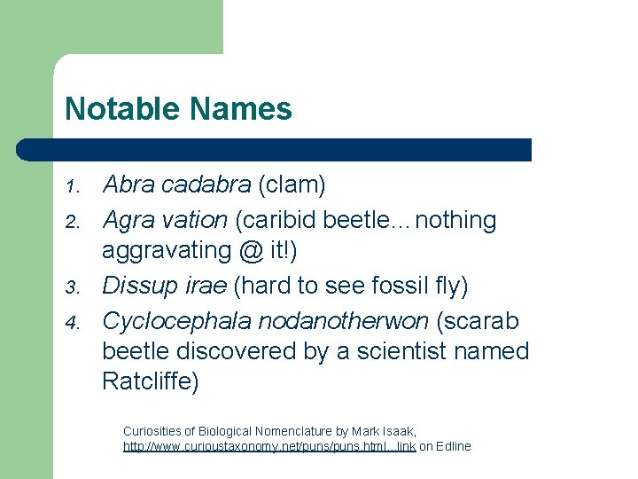 Notable Names 1. 2. 3. 4. Abra cadabra (clam) Agra vation (caribid beetle…nothing aggravating