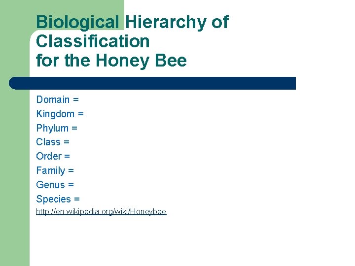 Biological Hierarchy of Classification for the Honey Bee Domain = Kingdom = Phylum =