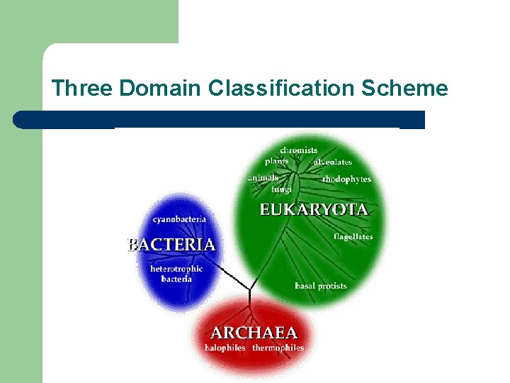 Three Domain Classification Scheme 