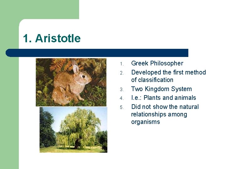 1. Aristotle 1. 2. 3. 4. 5. Greek Philosopher Developed the first method of