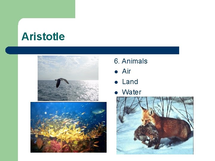 Aristotle 6. Animals l Air l Land l Water 