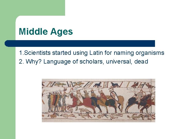 Middle Ages 1. Scientists started using Latin for naming organisms 2. Why? Language of