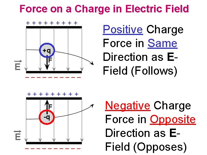 Force on a Charge in Electric Field +++++ E ––––– Positive Charge Force in