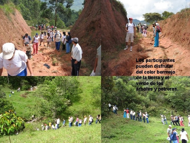 Los participantes pueden disfrutar del color bermejo de la tierra y el verde de