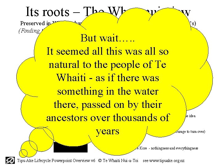 Its roots – The Wharenui view Preserved in Wharepakau on Murumurunga Marae, Te Whaiti