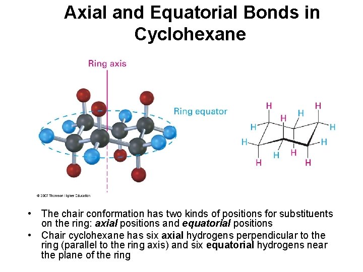 Axial and Equatorial Bonds in Cyclohexane • The chair conformation has two kinds of