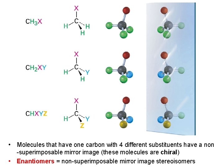  • Molecules that have one carbon with 4 different substituents have a non