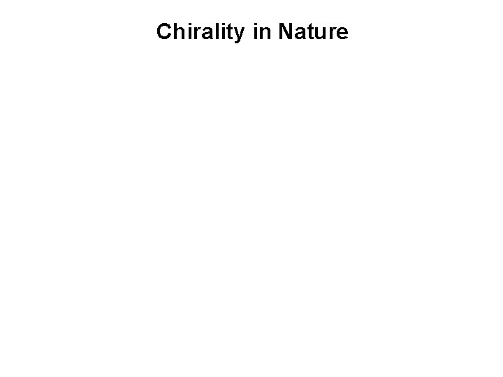 Chirality in Nature 