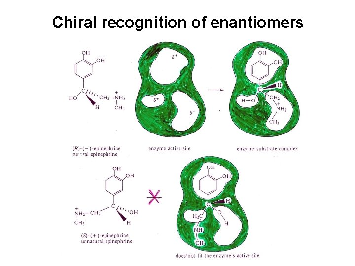 Chiral recognition of enantiomers 