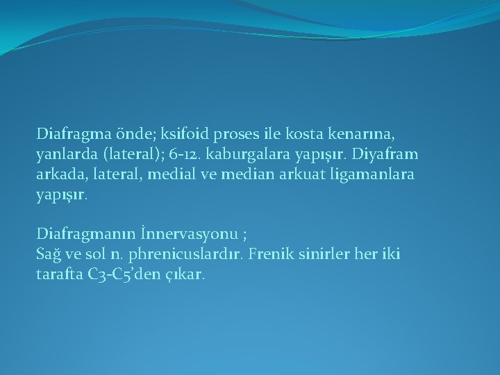 Diafragma önde; ksifoid proses ile kosta kenarına, yanlarda (lateral); 6 -12. kaburgalara yapışır. Diyafram Diafragma önde; ksifoid proses ile kosta kenarına, yanlarda (lateral); 6 -12. kaburgalara yapışır. Diyafram