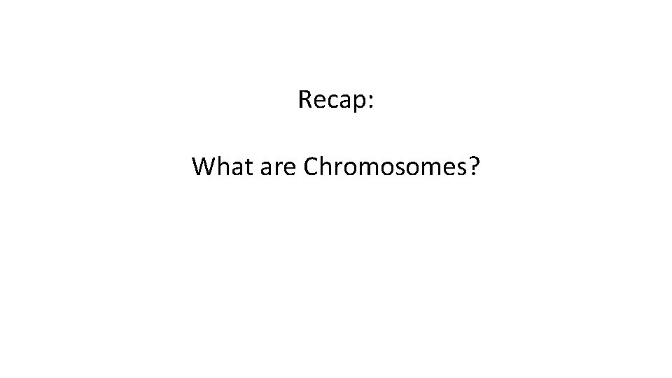 Recap: What are Chromosomes? 