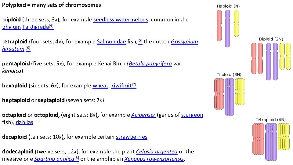 Polyploid = many sets of chromosomes. triploid (three sets; 3 x), for example seedless
