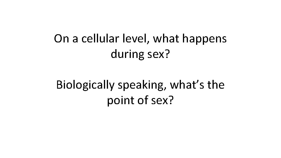 On a cellular level, what happens during sex? Biologically speaking, what’s the point of