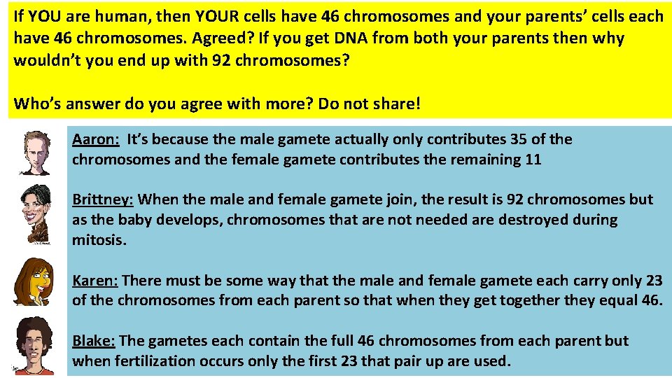 If YOU are human, then YOUR cells have 46 chromosomes and your parents’ cells