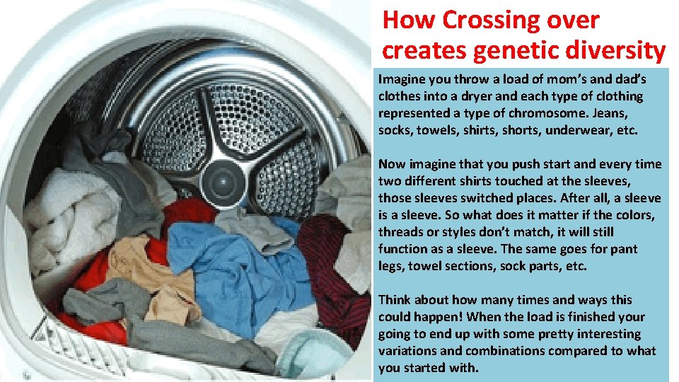 How Crossing over creates genetic diversity Imagine you throw a load of mom’s and