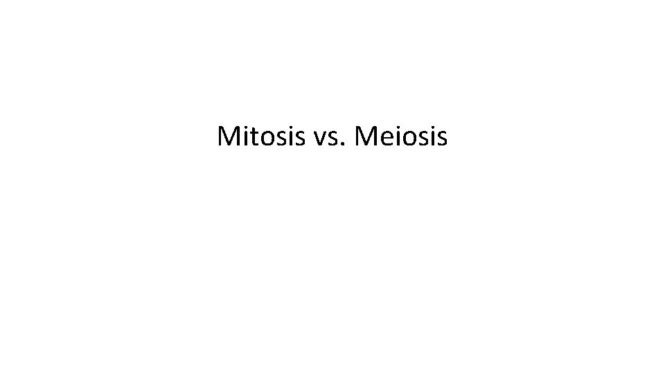 Mitosis vs. Meiosis 
