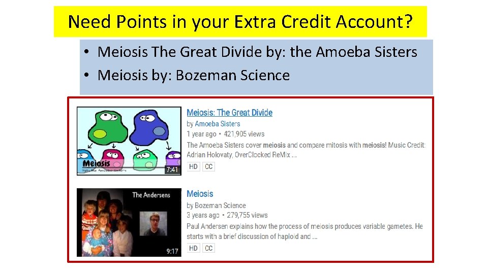 Need Points in your Extra Credit Account? • Meiosis The Great Divide by: the