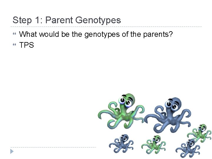 Step 1: Parent Genotypes What would be the genotypes of the parents? TPS 