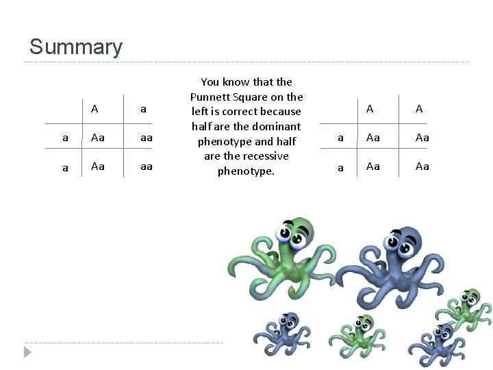 Summary A a a Aa aa You know that the Punnett Square on the