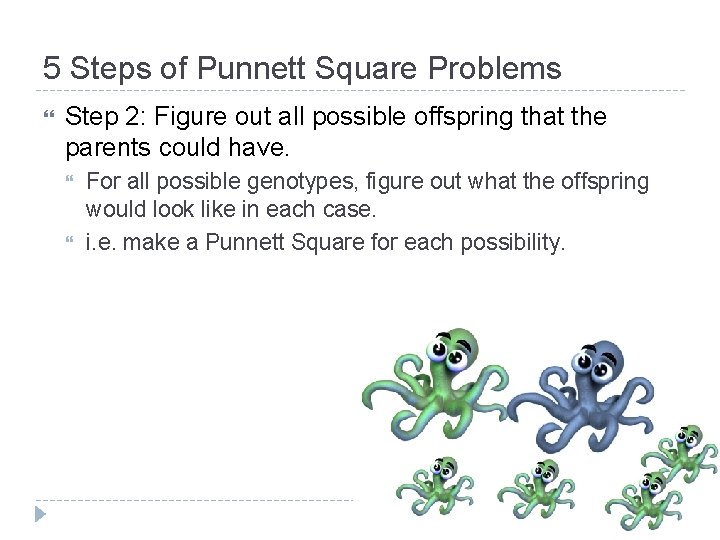 5 Steps of Punnett Square Problems Step 2: Figure out all possible offspring that