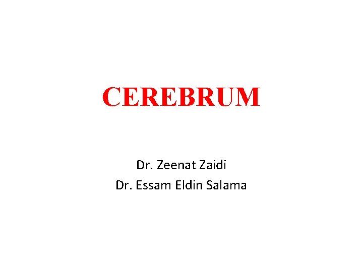 CEREBRUM Dr. Zeenat Zaidi Dr. Essam Eldin Salama 
