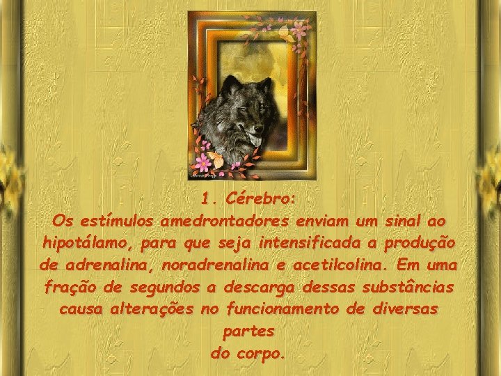 1. Cérebro: Os estímulos amedrontadores enviam um sinal ao hipotálamo, para que seja intensificada
