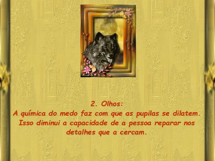 2. Olhos: A química do medo faz com que as pupilas se dilatem. Isso