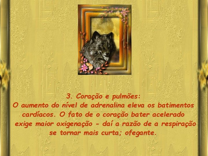 3. Coração e pulmões: O aumento do nível de adrenalina eleva os batimentos cardíacos.