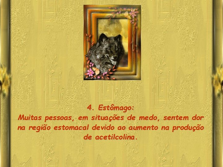 4. Estômago: Muitas pessoas, em situações de medo, sentem dor na região estomacal devido