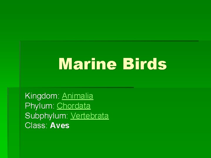 Marine Birds Kingdom: Animalia Phylum: Chordata Subphylum: Vertebrata Class: Aves 