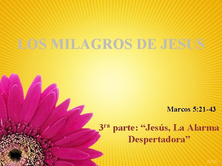 LOS MILAGROS DE JESUS Marcos 5: 21 -43 3 ra parte: “Jesús, La Alarma