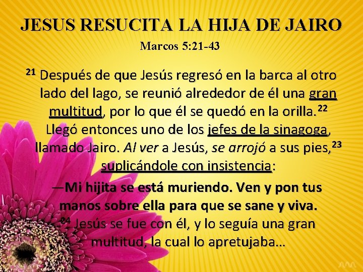 JESUS RESUCITA LA HIJA DE JAIRO Marcos 5: 21 -43 Después de que Jesús