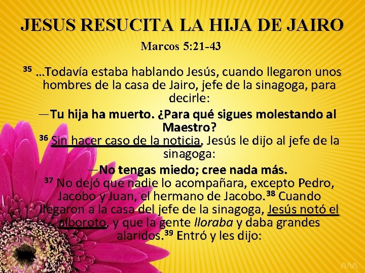 JESUS RESUCITA LA HIJA DE JAIRO Marcos 5: 21 -43 35 …Todavía estaba hablando