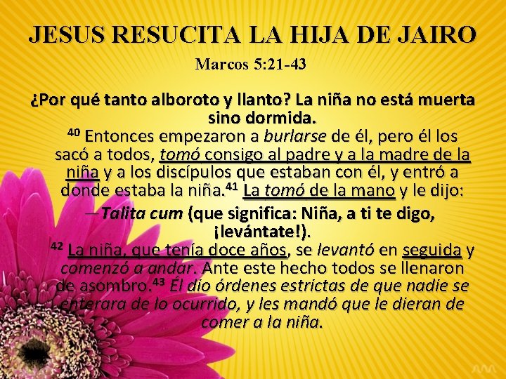 JESUS RESUCITA LA HIJA DE JAIRO Marcos 5: 21 -43 ¿Por qué tanto alboroto