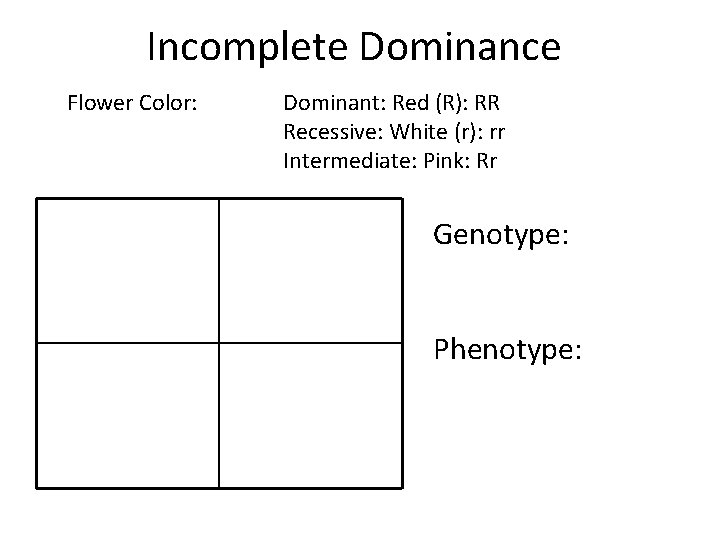 Incomplete Dominance Flower Color: Dominant: Red (R): RR Recessive: White (r): rr Intermediate: Pink: