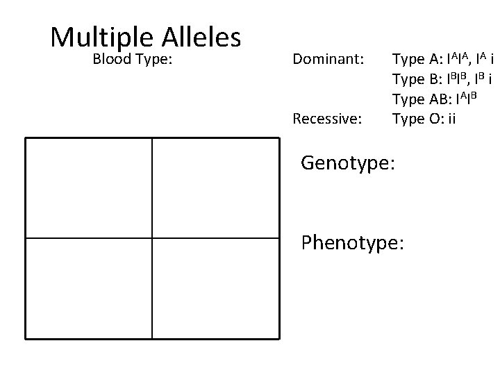 Multiple Alleles Blood Type: Dominant: Recessive: Type A: IAIA, IA i Type B: IBIB,