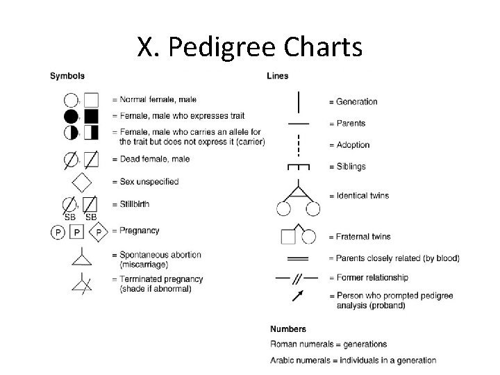 X. Pedigree Charts 