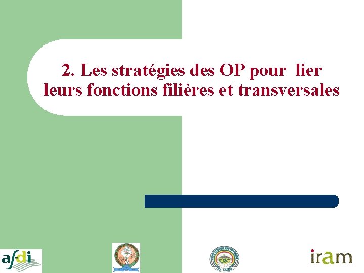 2. Les stratégies des OP pour lier leurs fonctions filières et transversales 